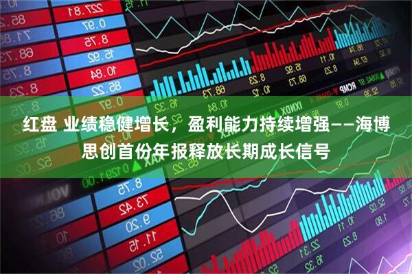 红盘 业绩稳健增长，盈利能力持续增强——海博思创首份年报释放长期成长信号