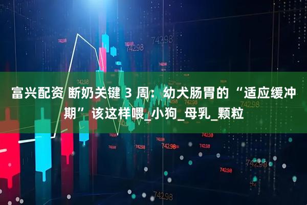 富兴配资 断奶关键 3 周：幼犬肠胃的 “适应缓冲期” 该这样喂_小狗_母乳_颗粒