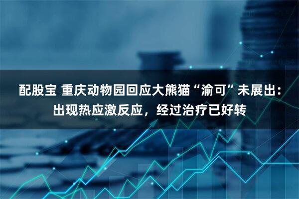 配股宝 重庆动物园回应大熊猫“渝可”未展出：出现热应激反应，经过治疗已好转