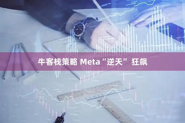 牛客栈策略 Meta“逆天” 狂飙