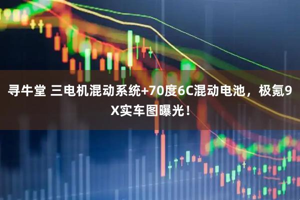寻牛堂 三电机混动系统+70度6C混动电池，极氪9X实车图曝光！