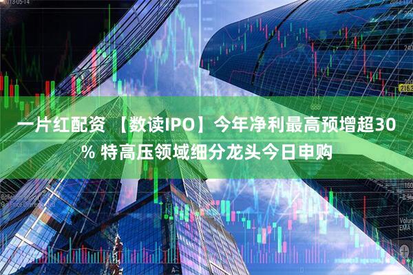 一片红配资 【数读IPO】今年净利最高预增超30% 特高压领域细分龙头今日申购