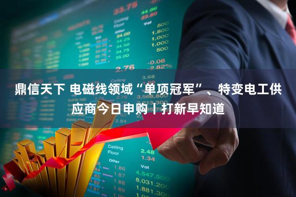 鼎信天下 电磁线领域“单项冠军”、特变电工供应商今日申购丨打新早知道
