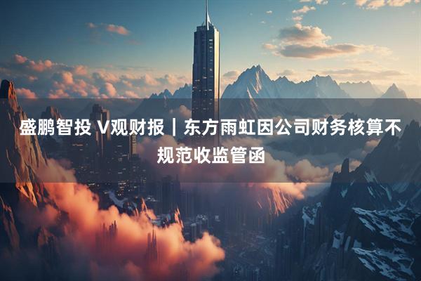 盛鹏智投 V观财报｜东方雨虹因公司财务核算不规范收监管函