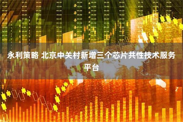 永利策略 北京中关村新增三个芯片共性技术服务平台