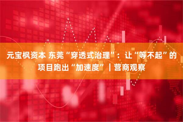 元宝枫资本 东莞“穿透式治理”：让“等不起”的项目跑出“加速度”｜营商观察